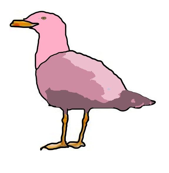 Pink seagull